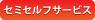 セミセルフサービス