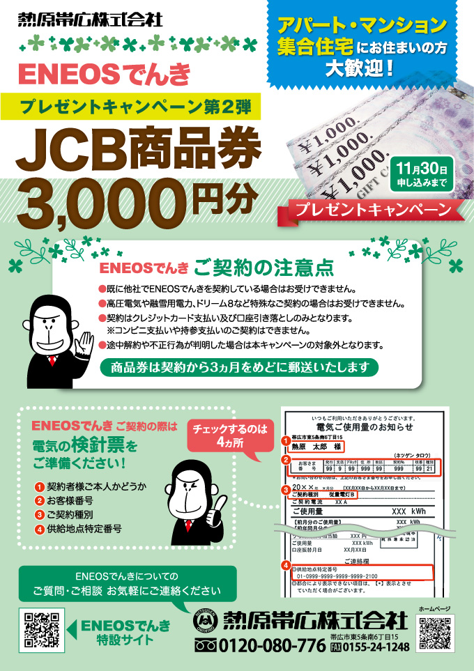 denki-jcb-campaign01-2009.jpg