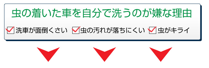 虫の着いた車を自分で洗うのが嫌な理由