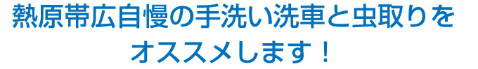 熱原帯広自慢の手洗い洗車と虫取りをオススメします！